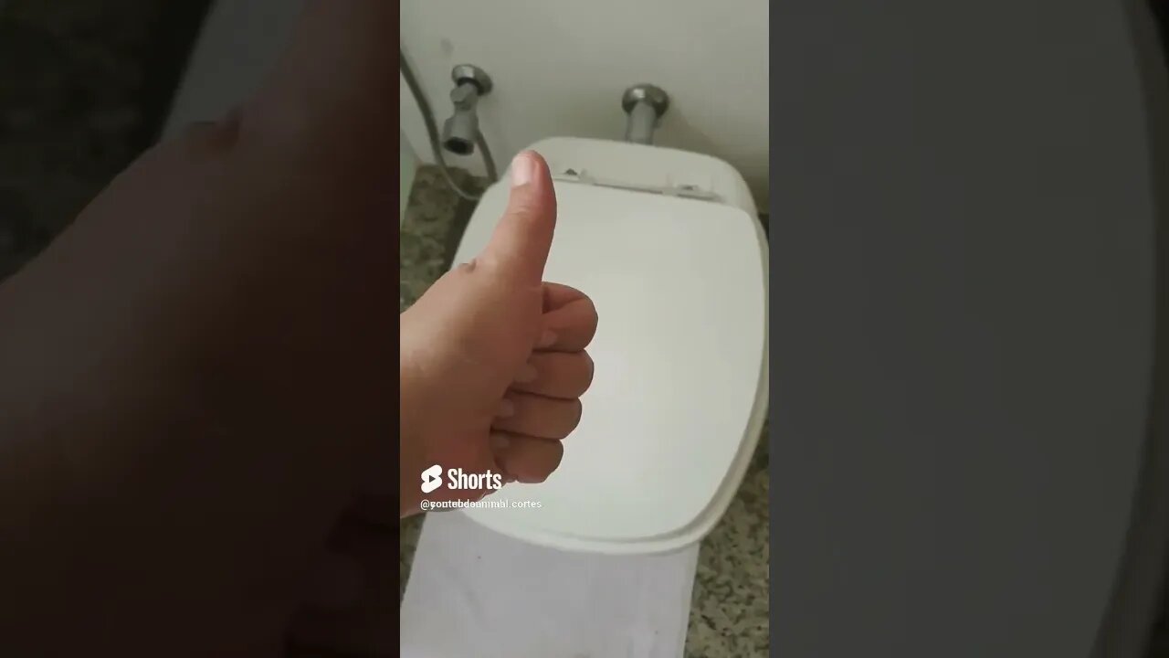 sempre de dar a descarga feche a tampa da privada para não contaminar o banheiro 🚽