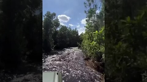 Going in deep water with the Ford Bronco