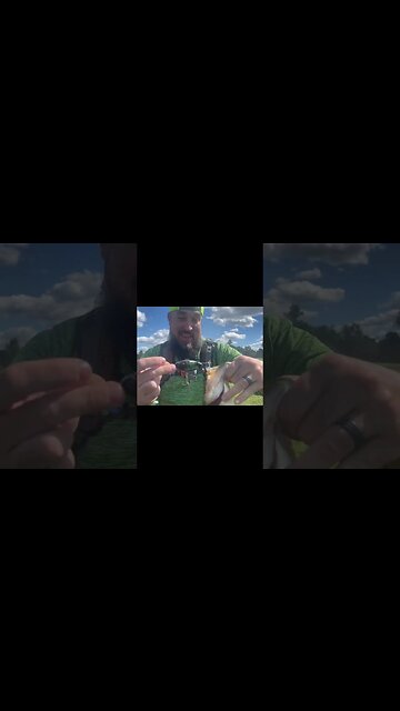 homemade DIY whopper plopper catches largemouth on the FIRST CAST!