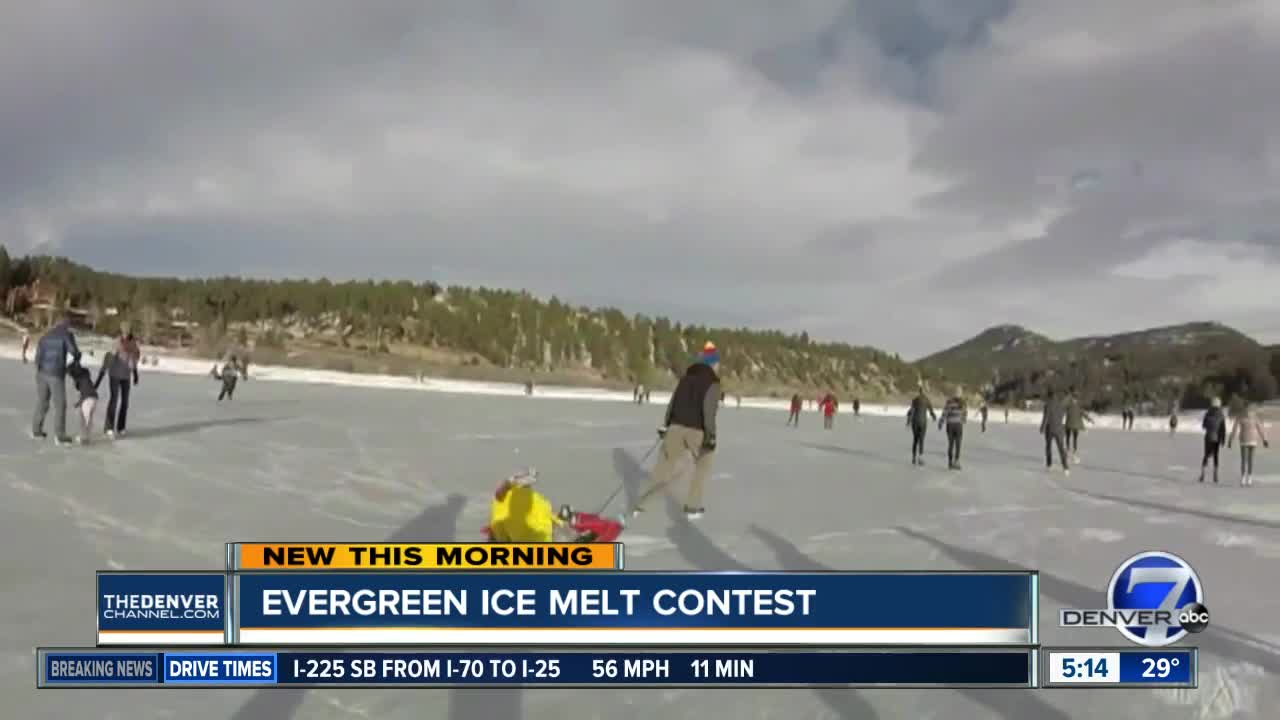 Evergreen ice melt contest