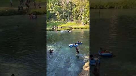 Jumping into Spanish Bridge like.. #shortsvideo #shortsfeed #jamaica #nature #youtubeshorts #shorts