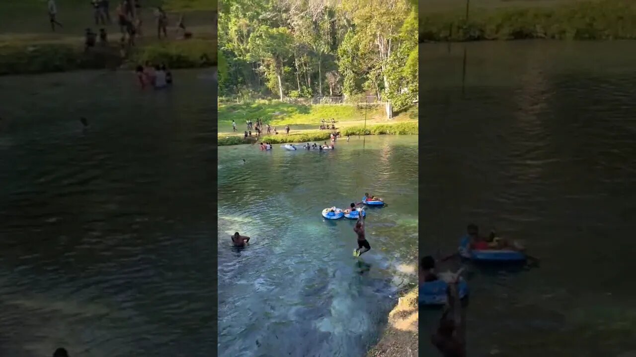 Jumping into Spanish Bridge like.. #shortsvideo #shortsfeed #jamaica #nature #youtubeshorts #shorts