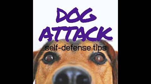 How to defend yourself in dog attacks