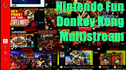 Nintendo Fun | Donkey Kong | Multi-Stream