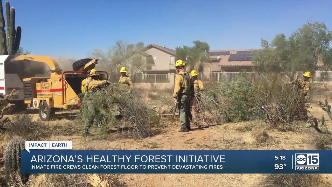 Arizona's healthy forest initiative