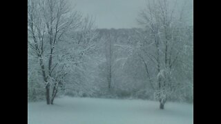 Kentucky ice storm 2022