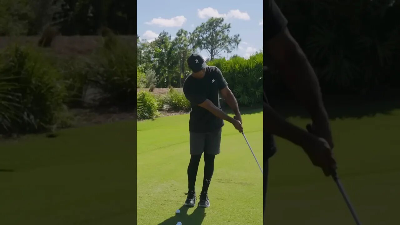 Tiger Woods teaches Scheffler how to chip #golf #tigerwoods #improve