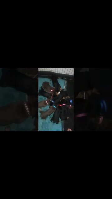 10 #dobermanpuppies vs 1 Food Dish! Who Will Win!? 🤣 #doberman #dobermanlove #puppies #puppy #lunch