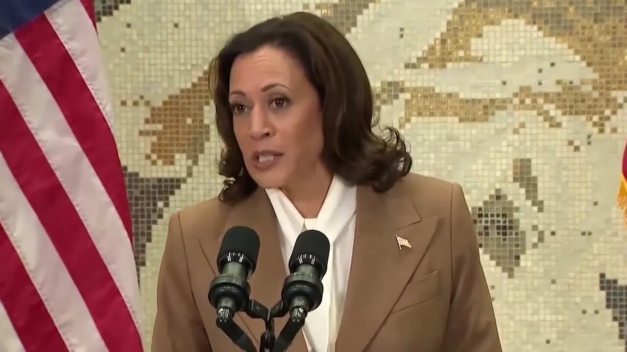 Kamala Harris Has No Idea What Is Being Asked When Reporter Presses On Potential Buffer Zone In Gaza