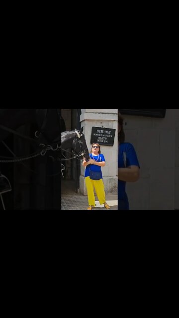🐎 Horse nudges tourist #horseguardsparade