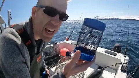 3 Days Camping in Alaska & Eating What We Catch Shrimp, Rock Fishing and Halibut Catch