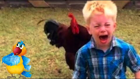A Very Funny Chicken and Rooster.