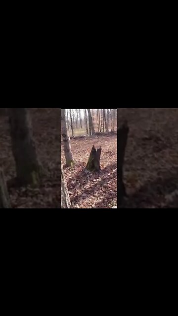 old foundation #treasure #relic #coins #fossil #silver #buttons #civilwar #metaldetecting #trending