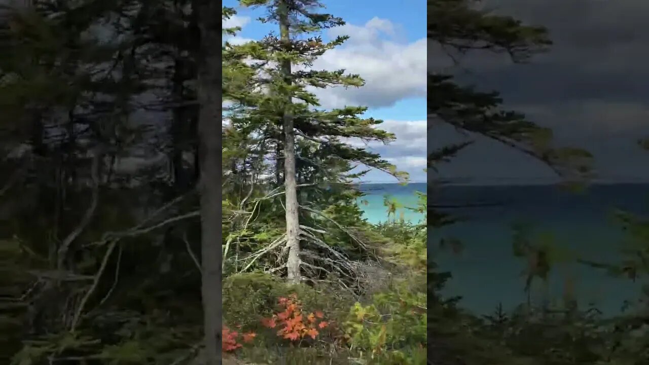 Mackinac Island 15