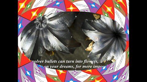 Even revolver bullets can turn into flowers, never give up your dreams! [Quotes and Poems]