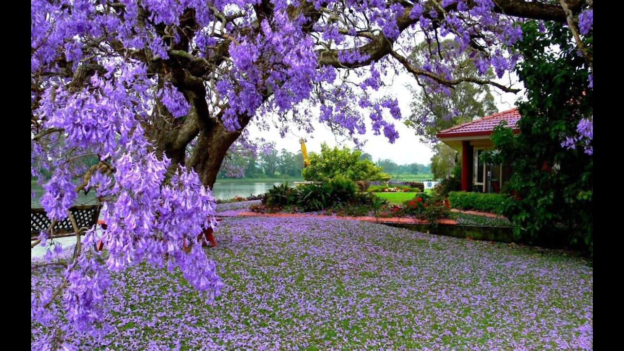 My Work Place