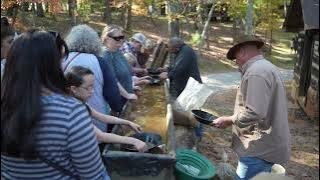 Hart Square Village's 39th Annual Heritage Festival! Sights, music, crafts, and cooking things!