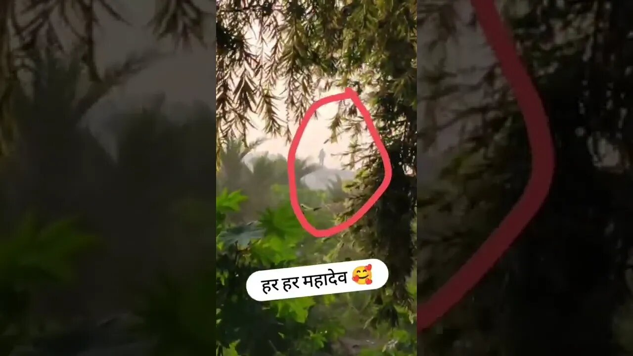 ऐसे दर्शन किस्मत वालो को नसीब होता है चैनल को subscribe 🔔 कर ले 🙏🙏 #shorts(2)