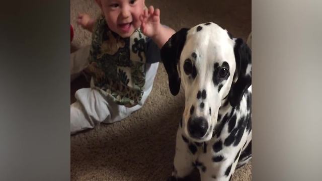 "Baby Boy Laughs When He Touches A Dog’s Ear"