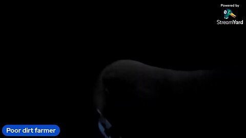 North Florida Morning