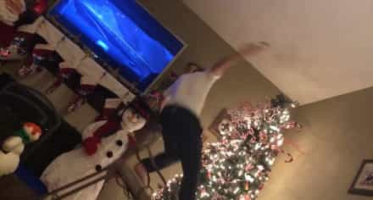 危険：クリスマスツリーの飾りつけは危険！