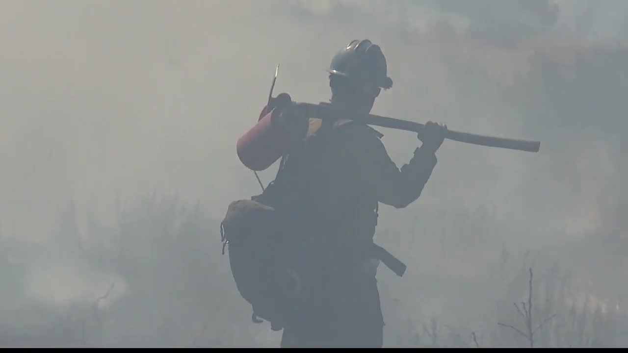 Plan to slow Western wildfires would clear strips of land