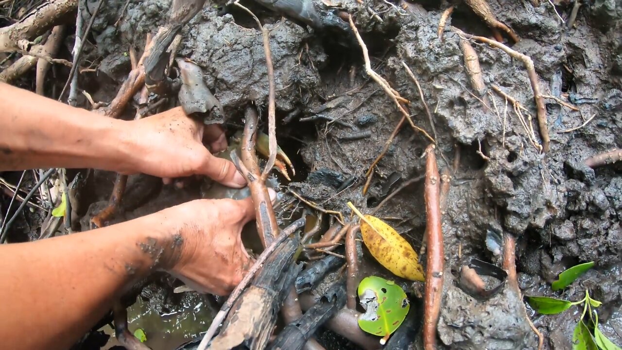 CRAB Catching