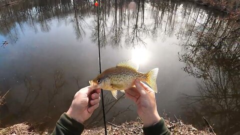 Personal Best Crappie Made Me Happy