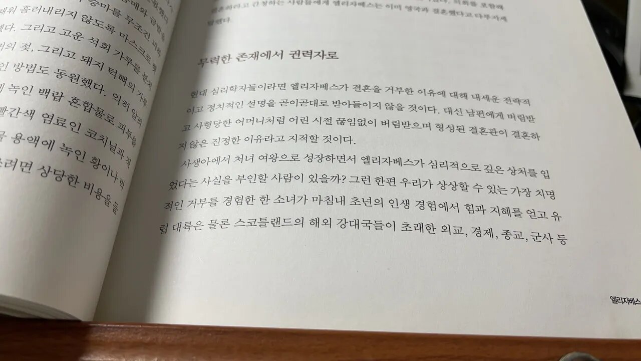 사생아 그 위대한 반전의 역사 엘리자베스여왕 소녀 스코틀랜드 스페인 무적함대 추밀원 조신 귀관 용감한 탐험가 제임스 스콧 런던타워 윈스턴처칠 웅변가 틸버리 파르마 국왕 라이벌