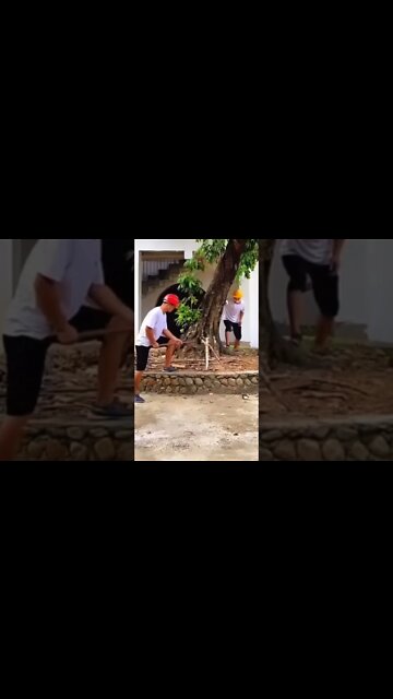 WHAT ARE THE ODDS? #shorts #youtubeshorts #trending #viral #funny #lol #music #probability #life