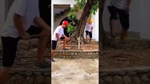 WHAT ARE THE ODDS? #shorts #youtubeshorts #trending #viral #funny #lol #music #probability #life