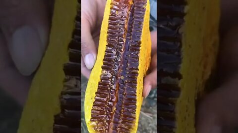 Beautiful Honey Comb