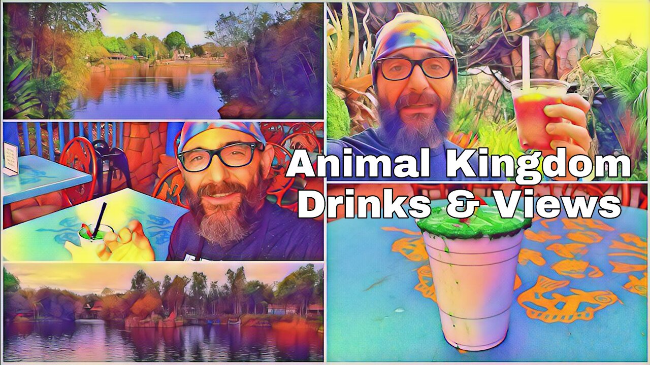 Animal Kingdom Drinks & Enjoying the Views