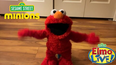 Elmo Live: Tiny Yellow TRADIORS!