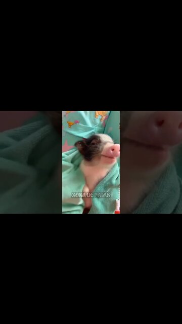 TIRA FOTO MÃE😅🥰