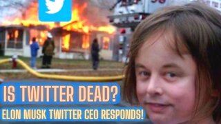 Is Twitter Dead? Elon Musk Twitter CEO Responds!