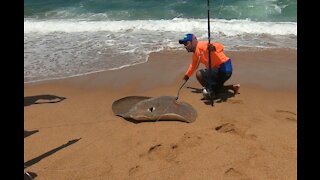 beach metal detecting (14)