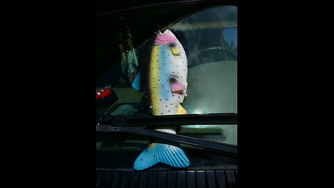 ~Secret Rubber Fish For The New World Order~