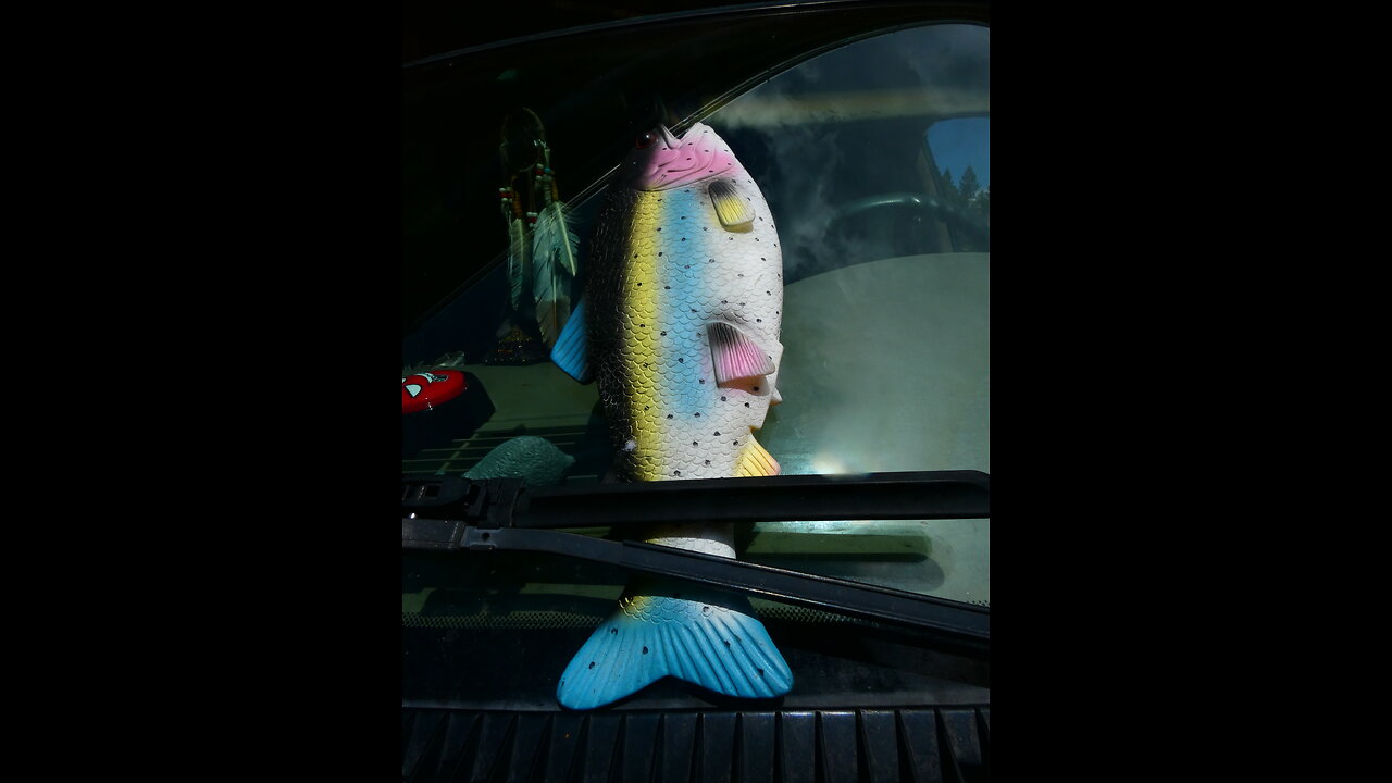 ~Secret Rubber Fish For The New World Order~