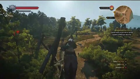 the witcher 3 wild hunt walkthrough part 16