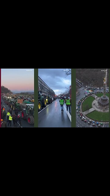 The farmers of Europe are the Vanguard of the Battle for Freedom Against Globalists