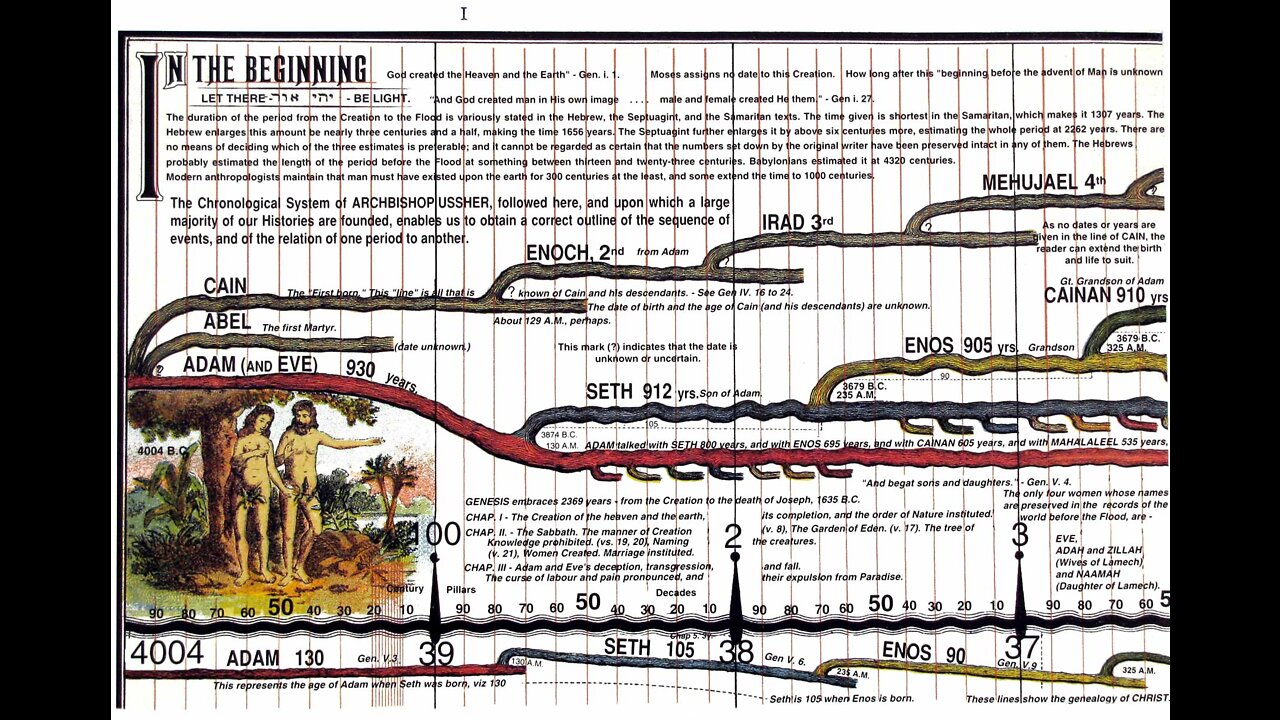 Arborele genealogic al Omenirii - The Human Family Tree!