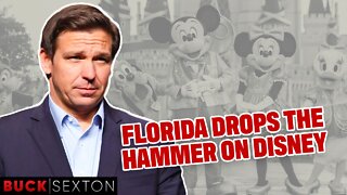 Florida Drops The Hammer On Disney