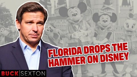 Florida Drops The Hammer On Disney