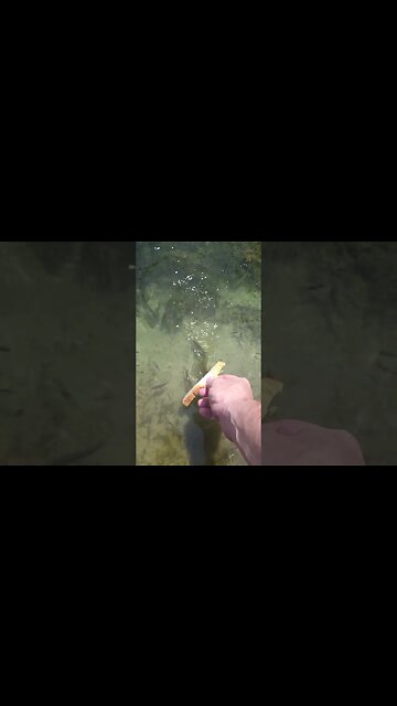 Getting closer #shorts