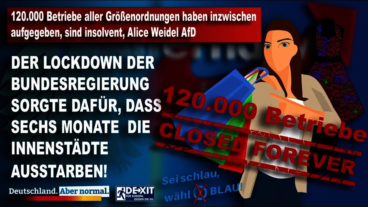 120.000 Betriebe aller Größenordnungen haben inzwischen aufgegeben, sind insolvent, Alice Weidel AfD