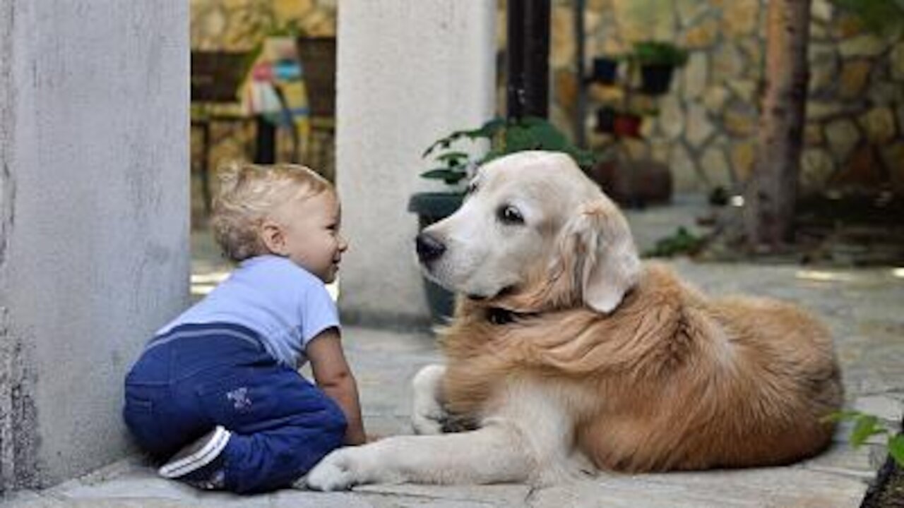 Lovely child laughing when his dog is jumping