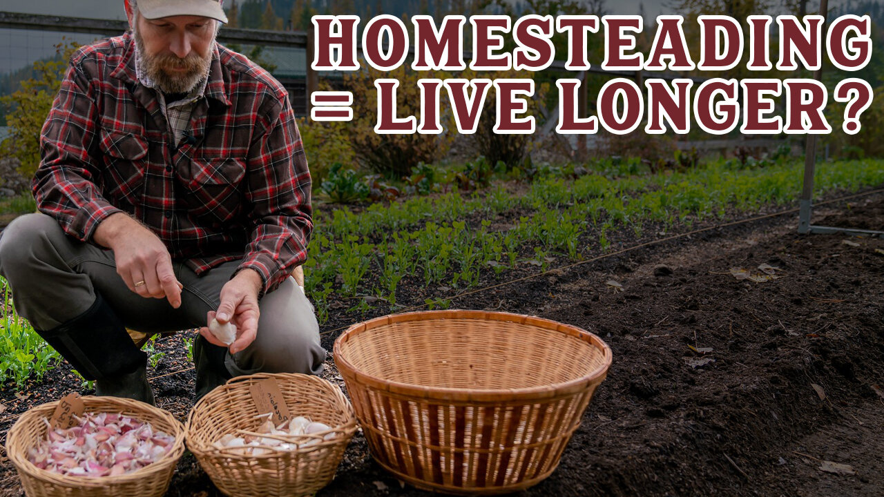 Do THIS to live Healthier and Longer Lives with Homesteading (Pantry Chat with Shelby Devore)