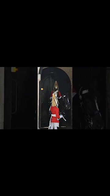 horse not settled in the box #horseguardsparade