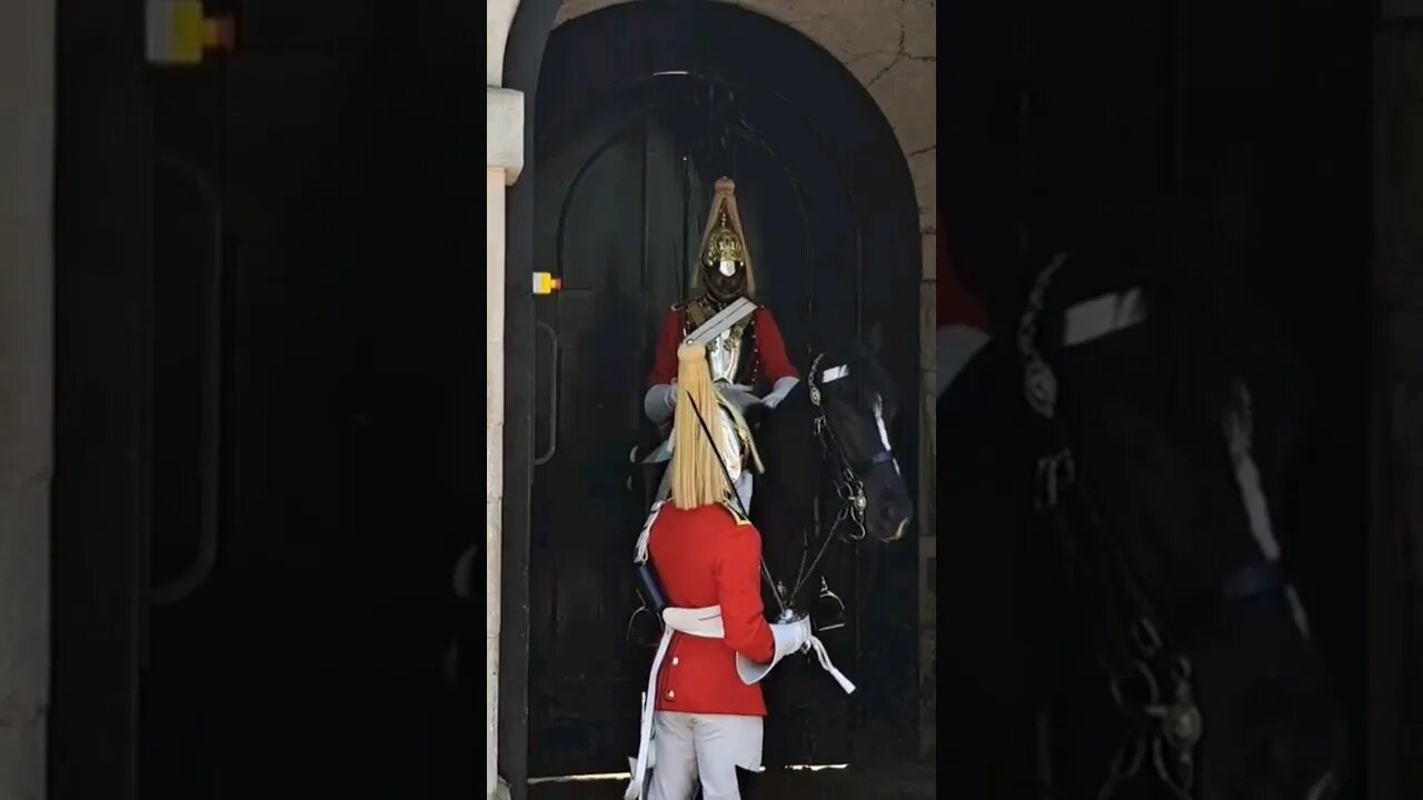 horse not settled in the box #horseguardsparade